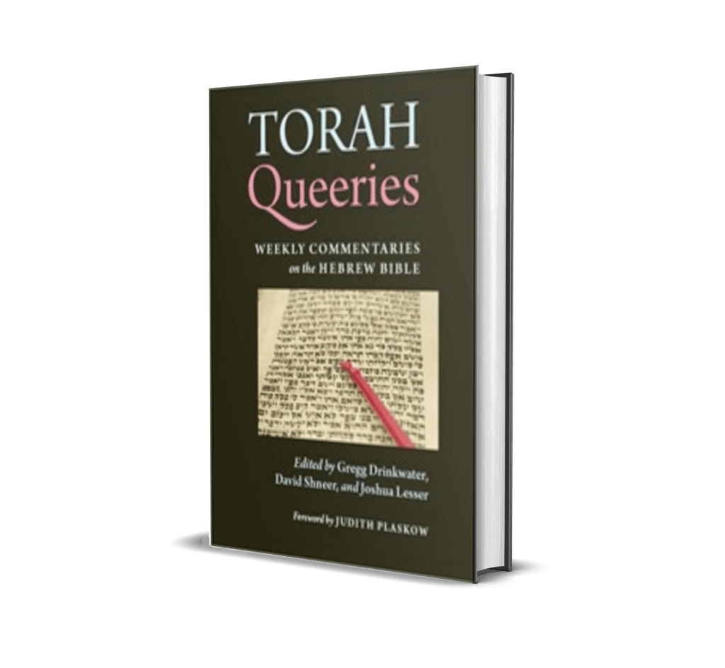torah queeries gregg drinkwater joshua lesser david shneer lgbtq book torah study queer lgbtq